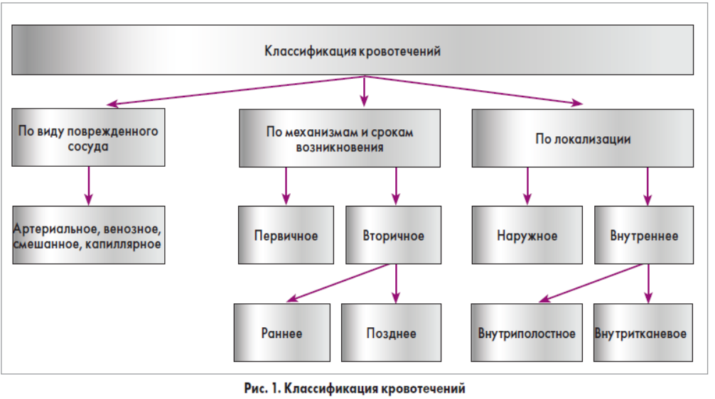 Эндокринная система — Википедия